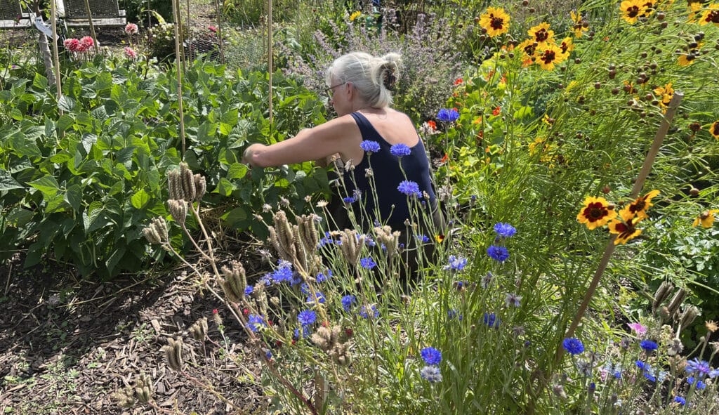 Natuurlijke Nine aan het werk