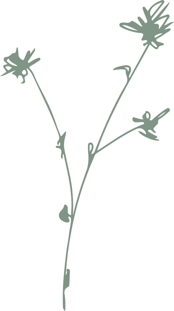 Natuurlijk Nine takje 1