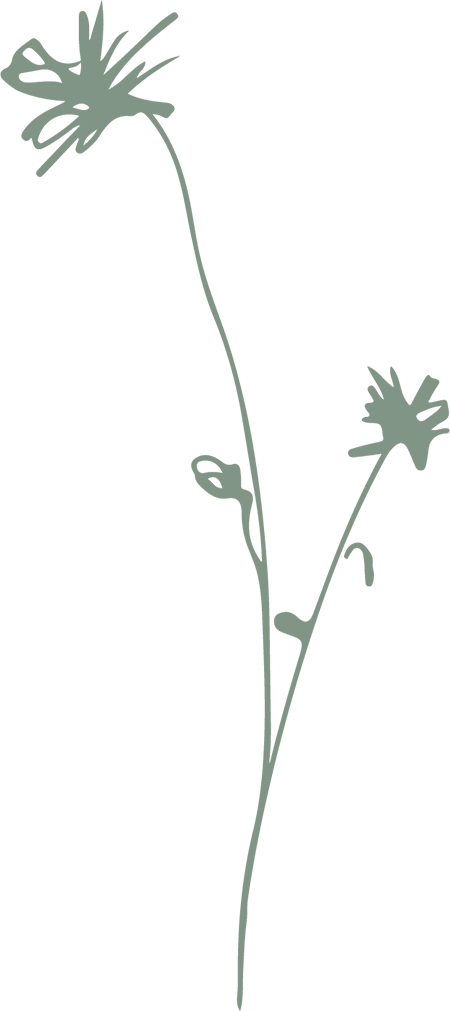 Natuurlijk Nine Takje 2